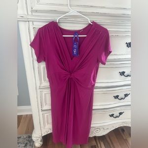 Seraphine maternity and postpartum dresss size 8